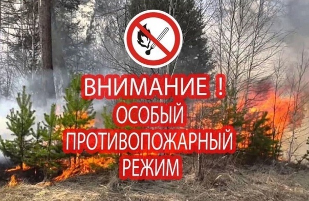 Внимание! На территории Воронежской области с 15 апреля 2025 года установлен особый противопожарный режим.. Внимание! На территории Воронежской области с 15 апреля 2025 года установлен особый противопожарный режим..