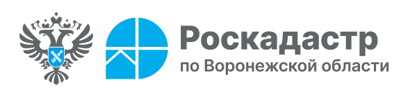 Роскадастр информирует. Роскадастр информирует.